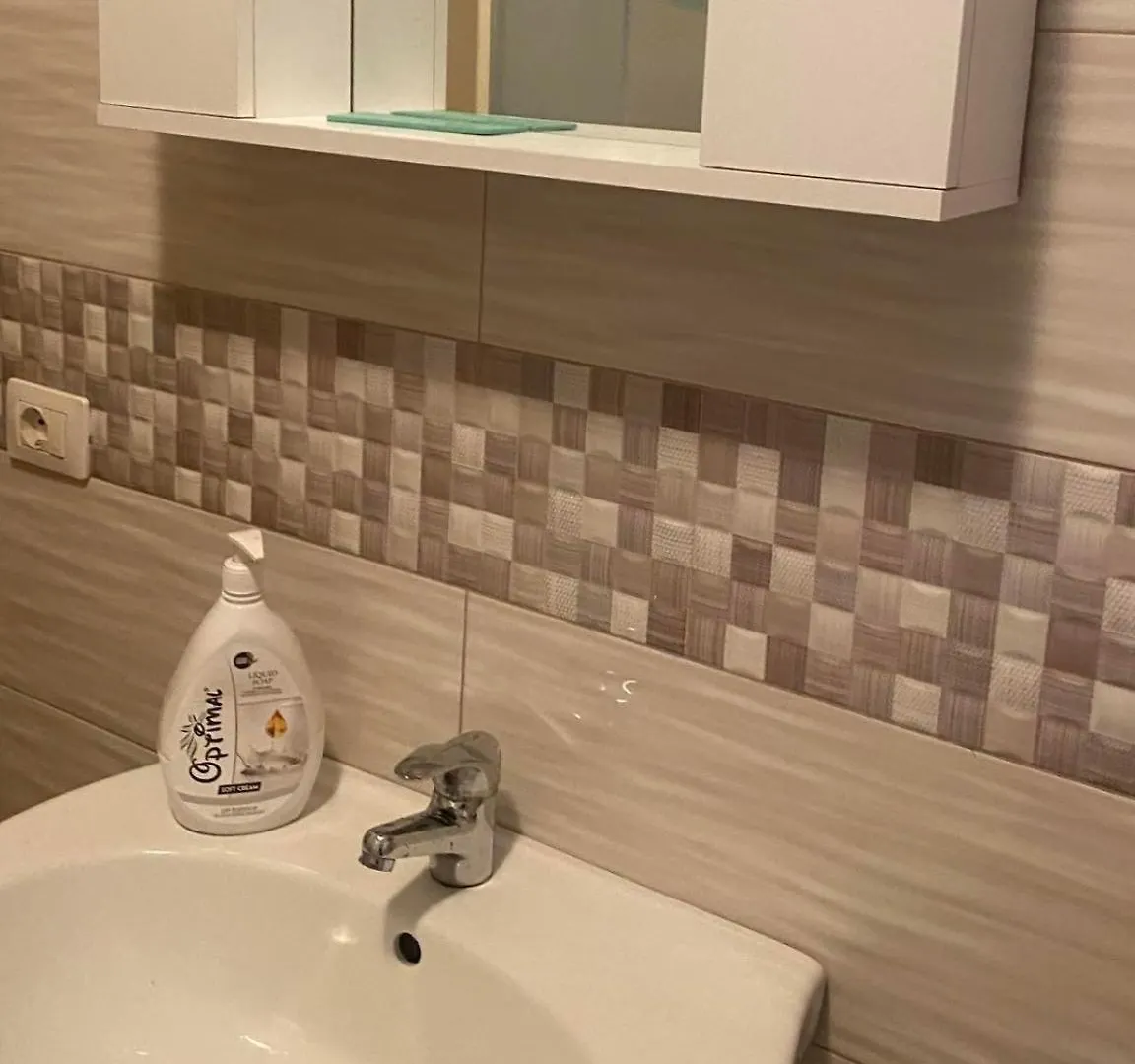 Elsuarha Apartment 포그라데츠 0*,